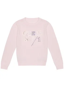 Ballet Pink Long Sleeve Logo Knit Top (2-7)