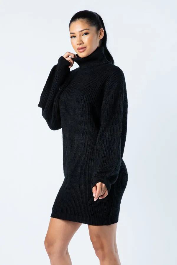 Big Knit Turtleneck Sweater Dress