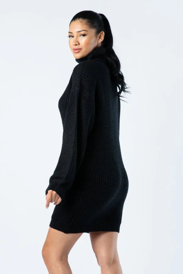 Big Knit Turtleneck Sweater Dress