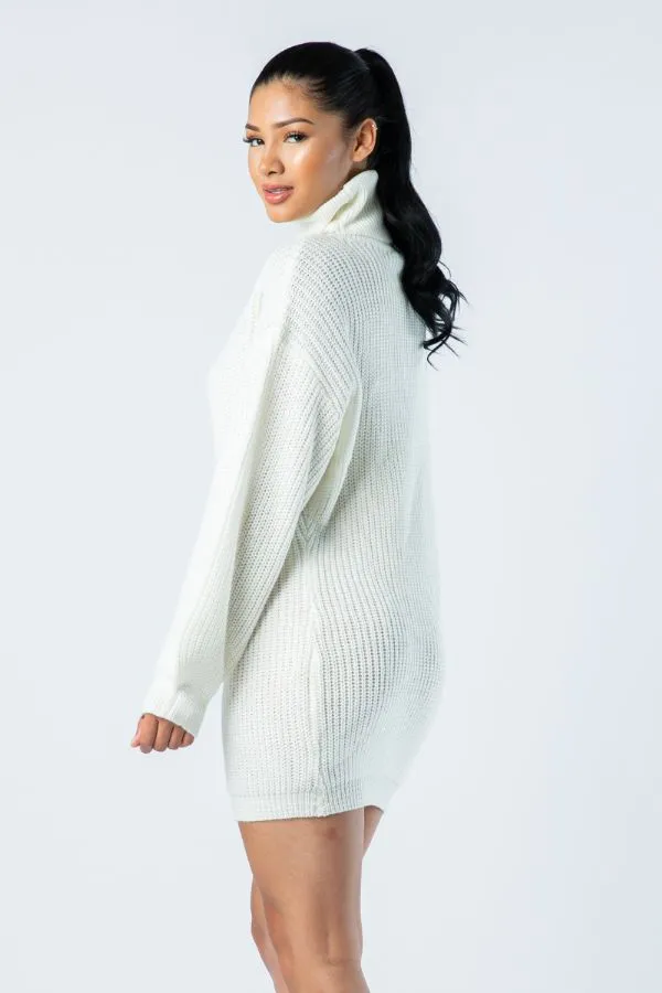 Big Knit Turtleneck Sweater Dress