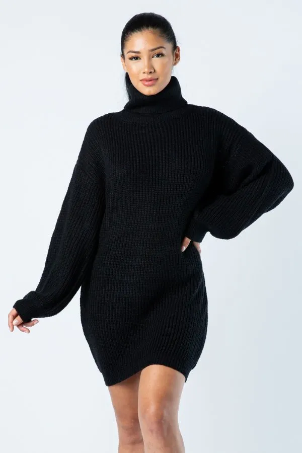 Big Knit Turtleneck Sweater Dress