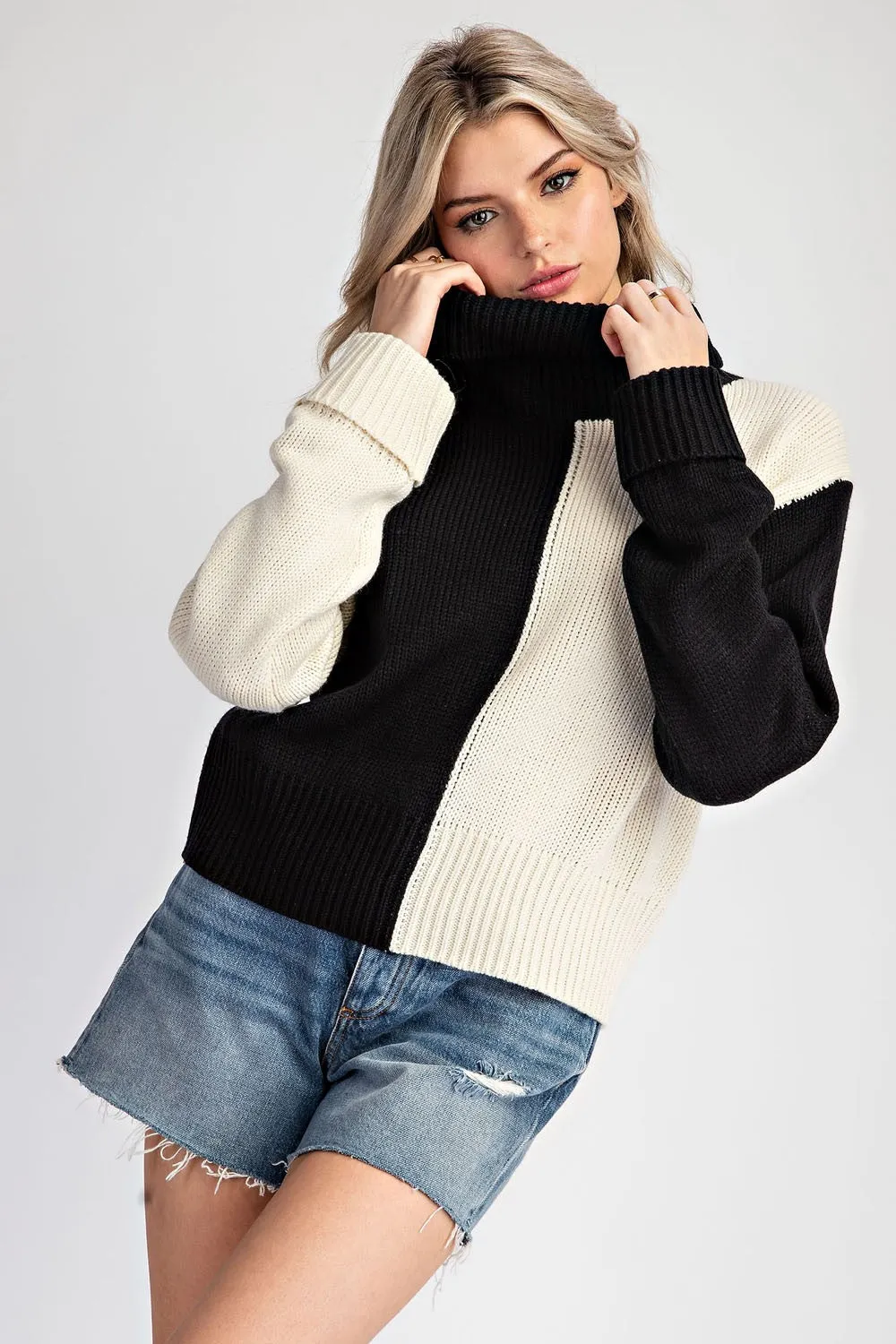 COLOUR BLOCK TURTLENECK SWEATER