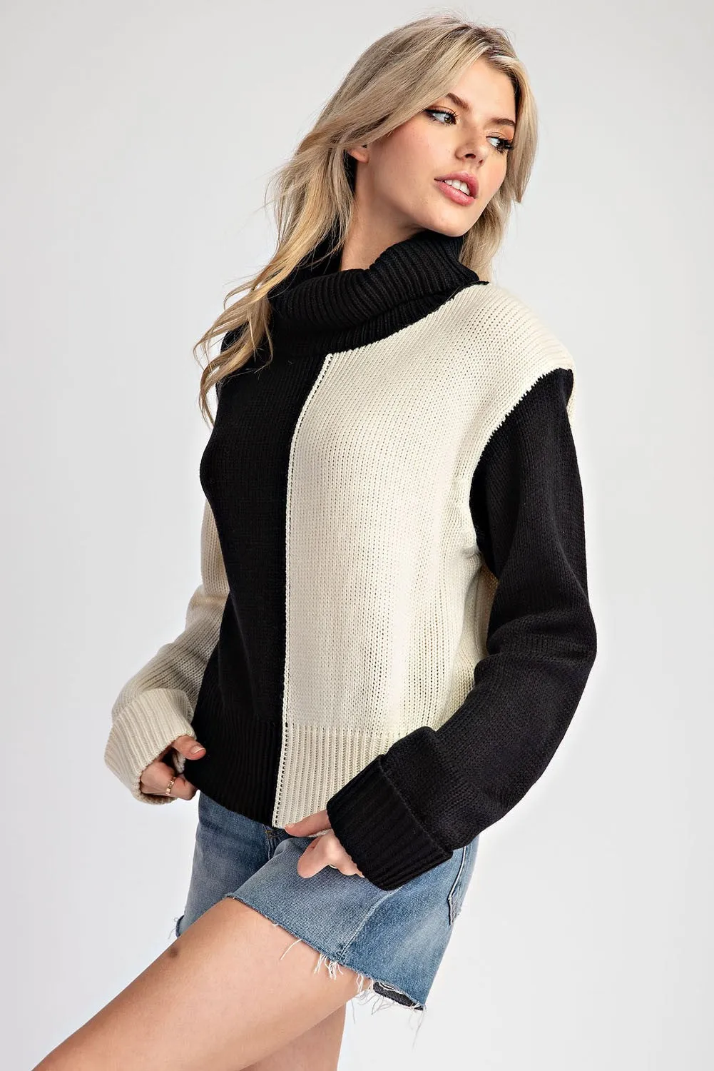 COLOUR BLOCK TURTLENECK SWEATER