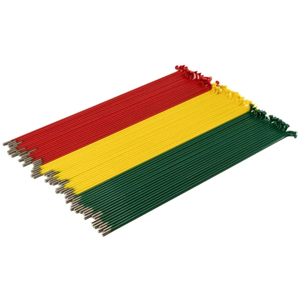 Source Spokes (Pattern Thirds) - Rasta